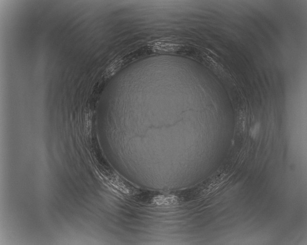 X0000051240271200507082132