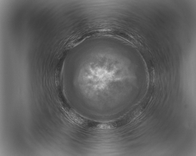 X0000051240272200507082132