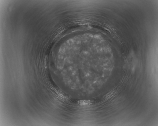 X0000051240273200507082132