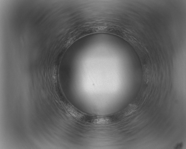 X0000051240274200507082132