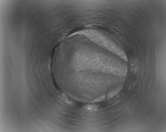 X0000051240275200507082132