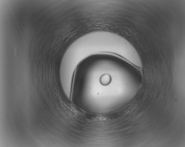 X0000051240276200507082132