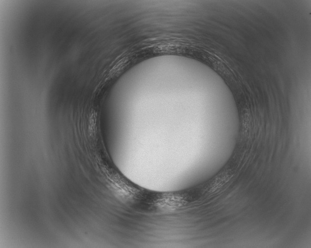 X0000051240278200507082132