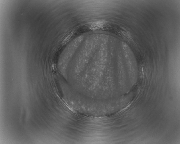 X0000051240280200507082132