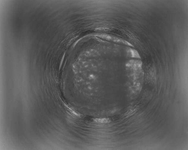 X0000051240281200507082132