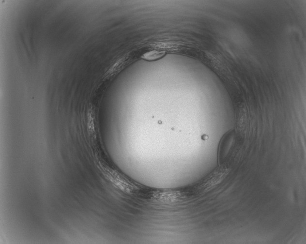 X0000051240282200507082132