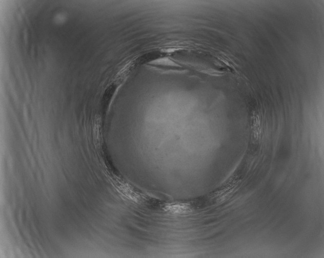 X0000051240283200507082132