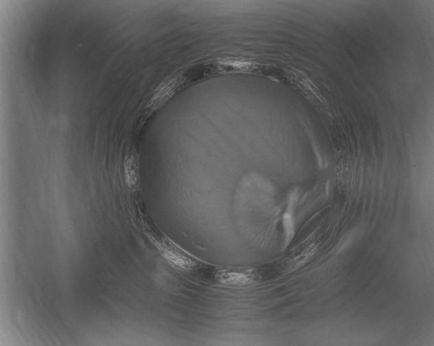 X0000051240285200507082132