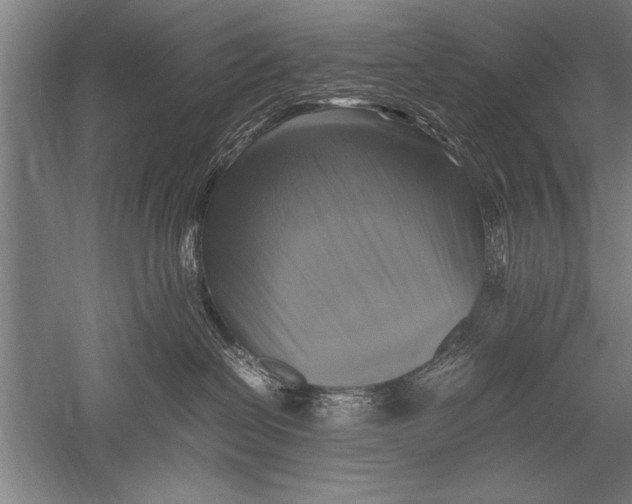 X0000051240286200507082132