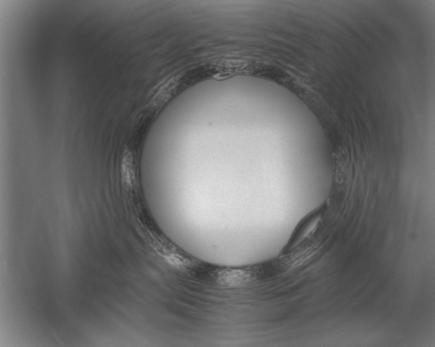 X0000051240287200507082132