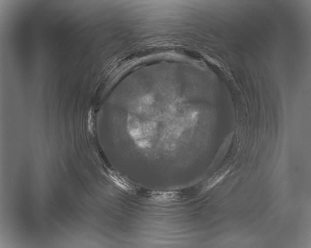 X0000051240288200507082132