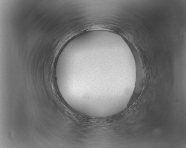 X0000051240289200507082131