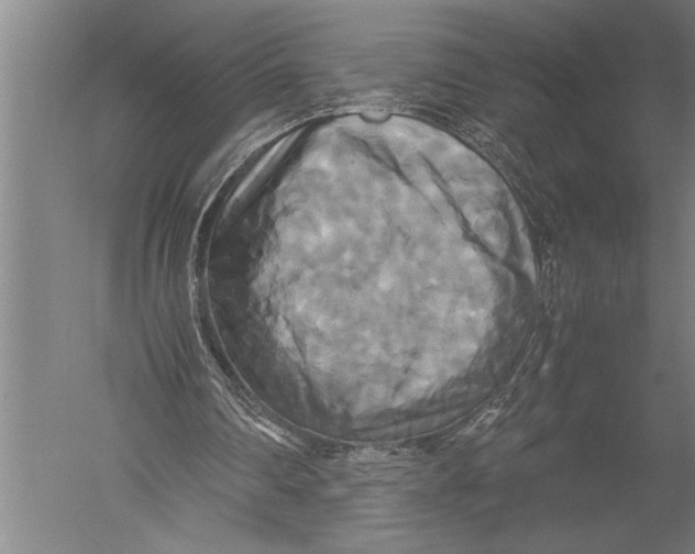 X0000051240290200507082131