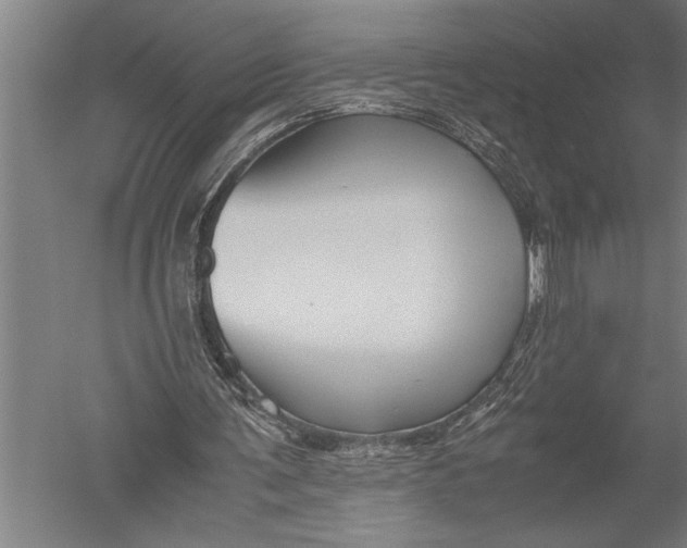 X0000051240291200507082131