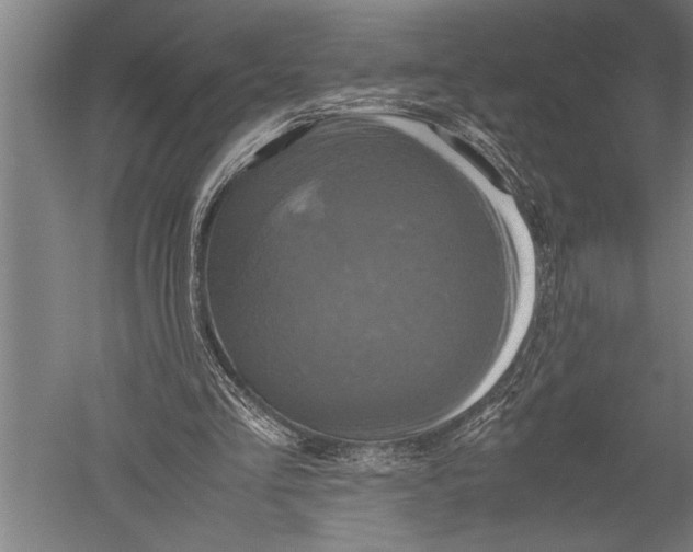 X0000051240293200507082131