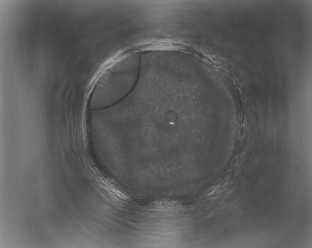 X0000051240296200507082131