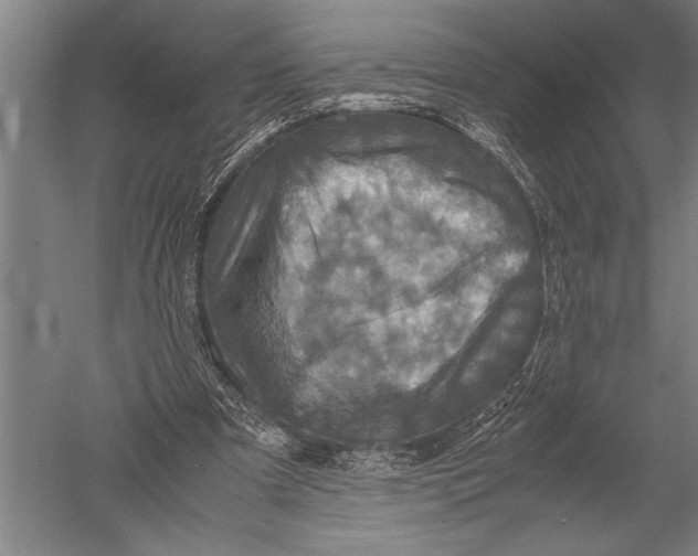 X0000051240297200507082131