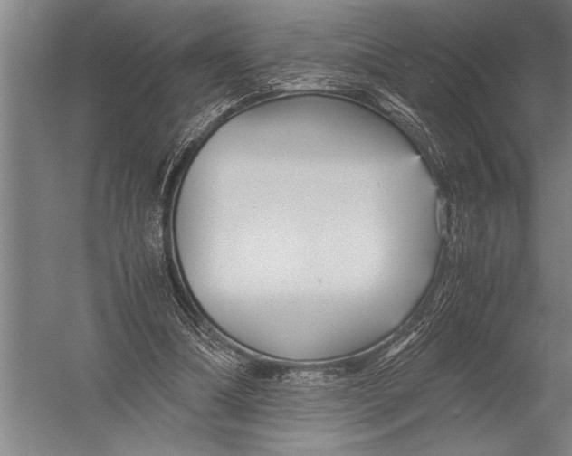 X0000051240298200507082131