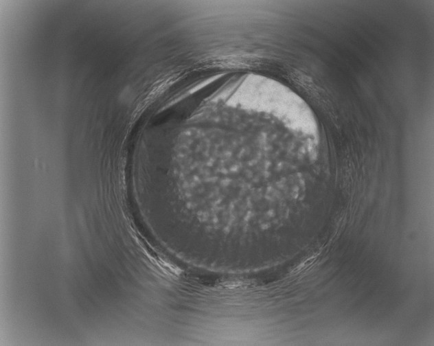 X0000051240299200507082131