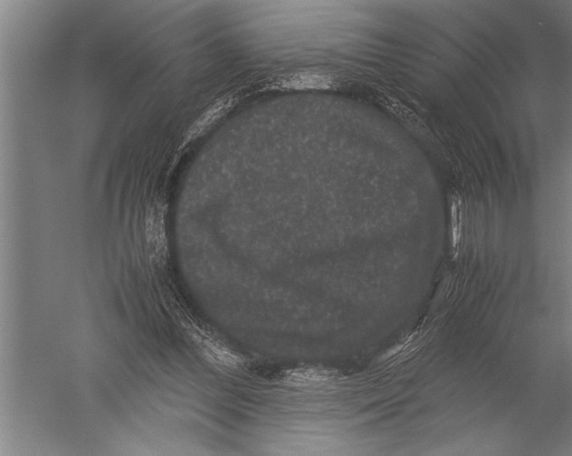 X0000051240300200507082131