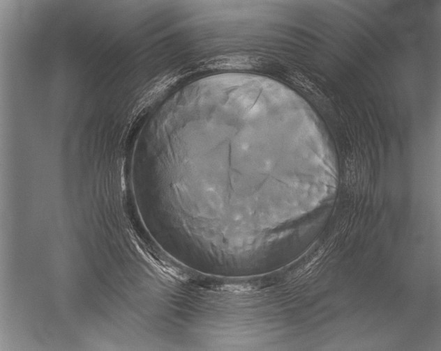 X0000051240302200507082131