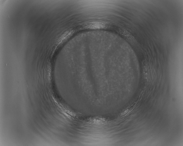 X0000051240304200507082131