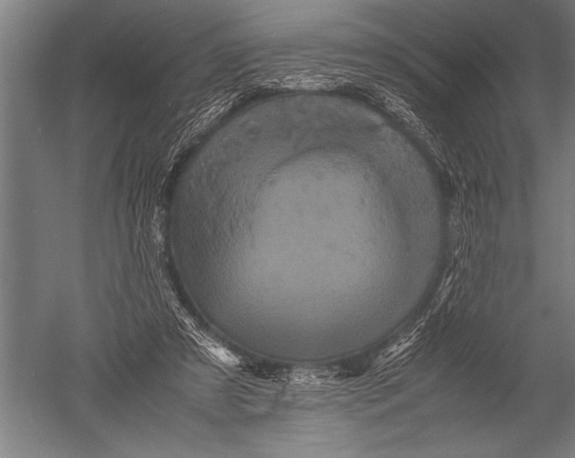 X0000051240305200507082131