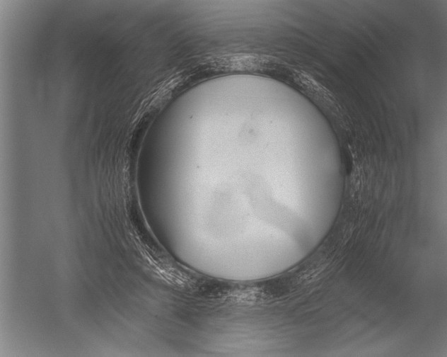 X0000051240306200507082131