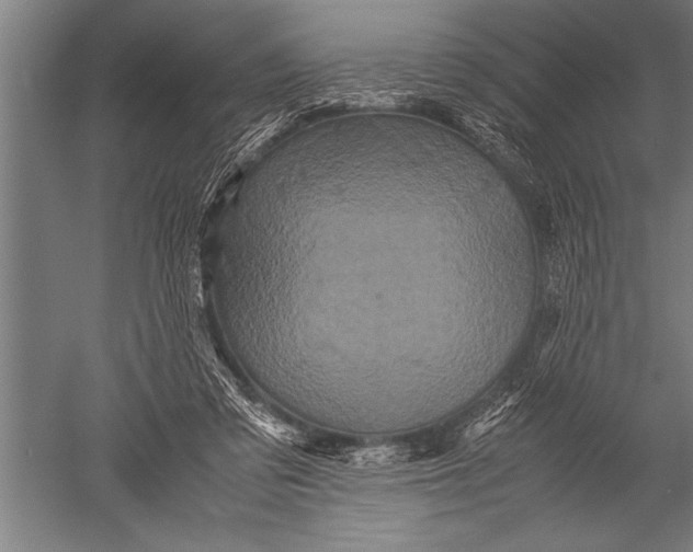 X0000051240309200507082131