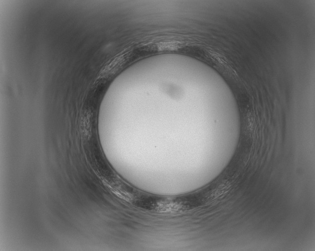 X0000051240311200507082131