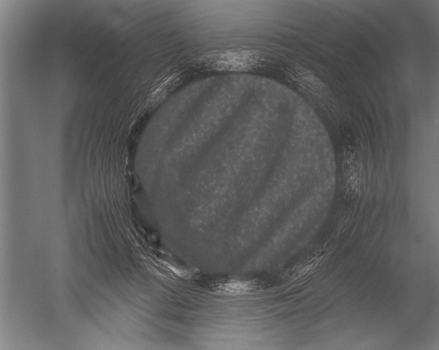 X0000051240312200507082131