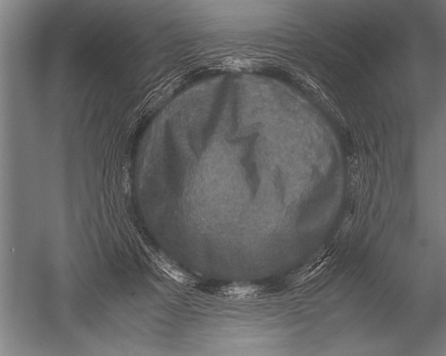 X0000051240313200507082131