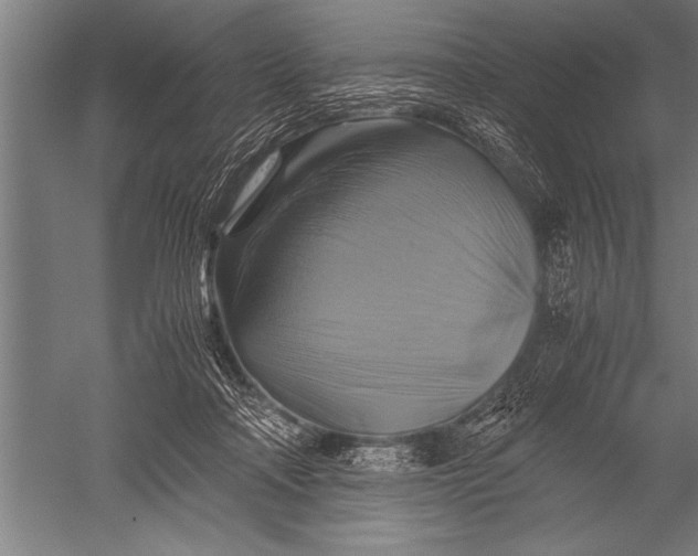 X0000051240314200507082131