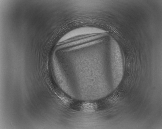 X0000051240315200507082131