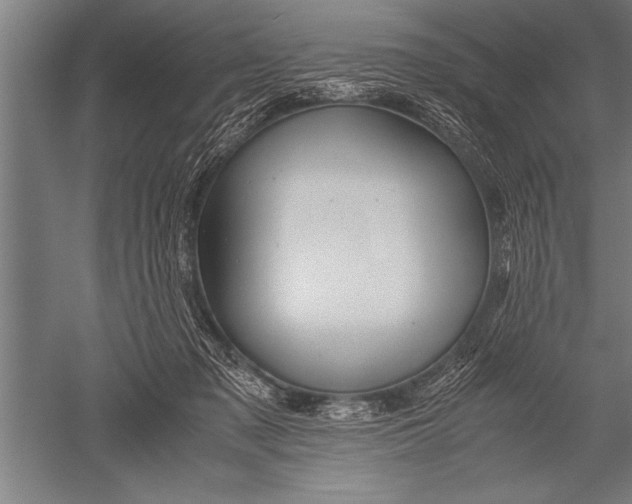 X0000051240317200507082131