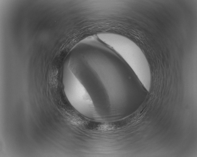 X0000051240319200507082131