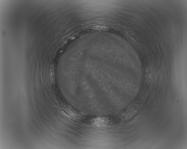 X0000051240320200507082131