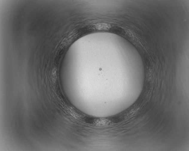 X0000051240321200507082131