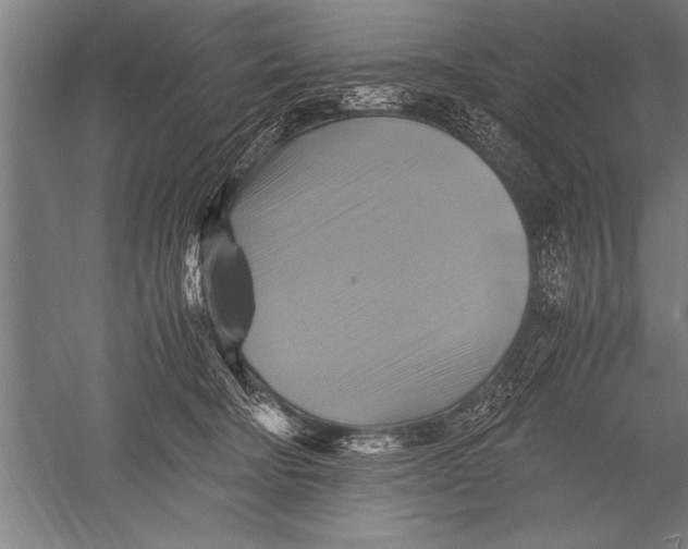 X0000051240322200507082131