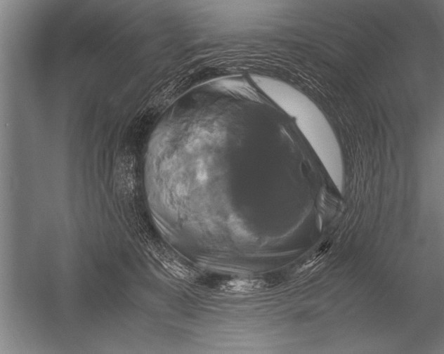 X0000051240323200507082131