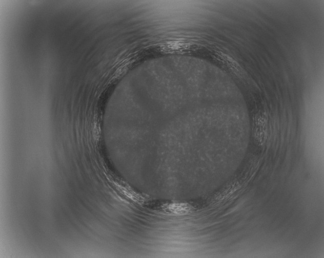 X0000051240324200507082131