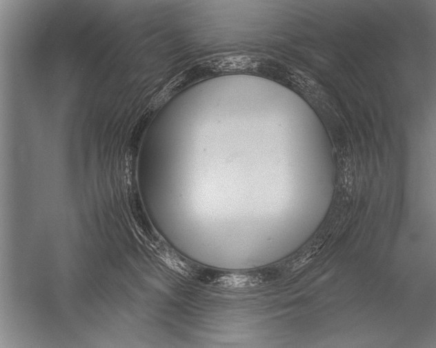 X0000051240326200507082131