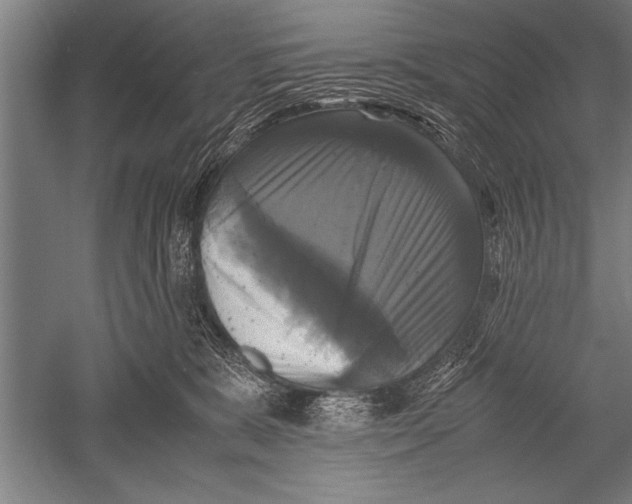 X0000051240327200507082131