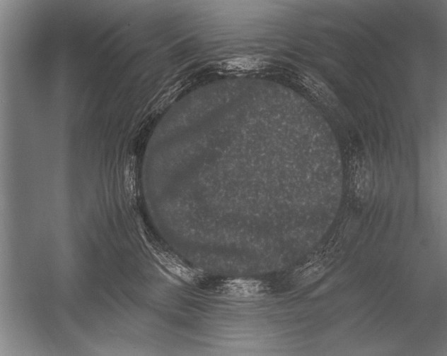 X0000051240328200507082131