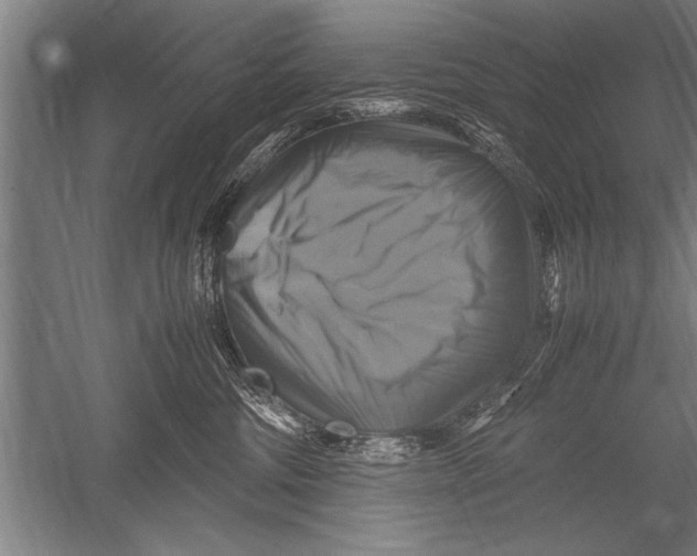 X0000051240330200507082131