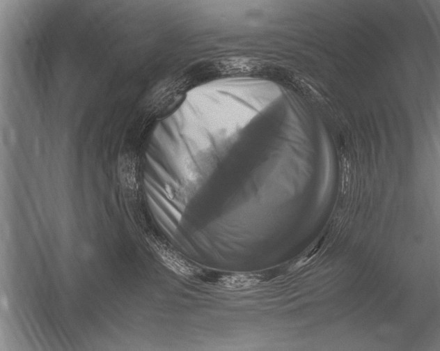 X0000051240331200507082131