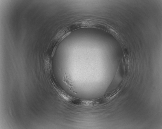 X0000051240333200507082131