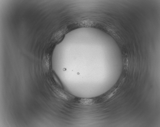 X0000051240334200507082131