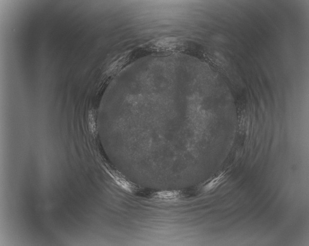 X0000051240335200507082131