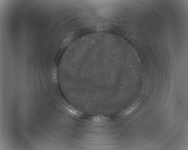 X0000051240336200507082131